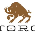 Napa Torc Logo.png