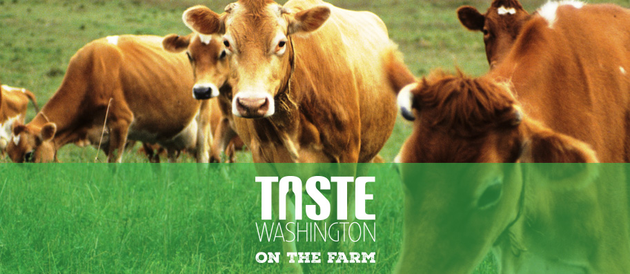 Farm-to-Table Awesomeness at Taste Washington 2015