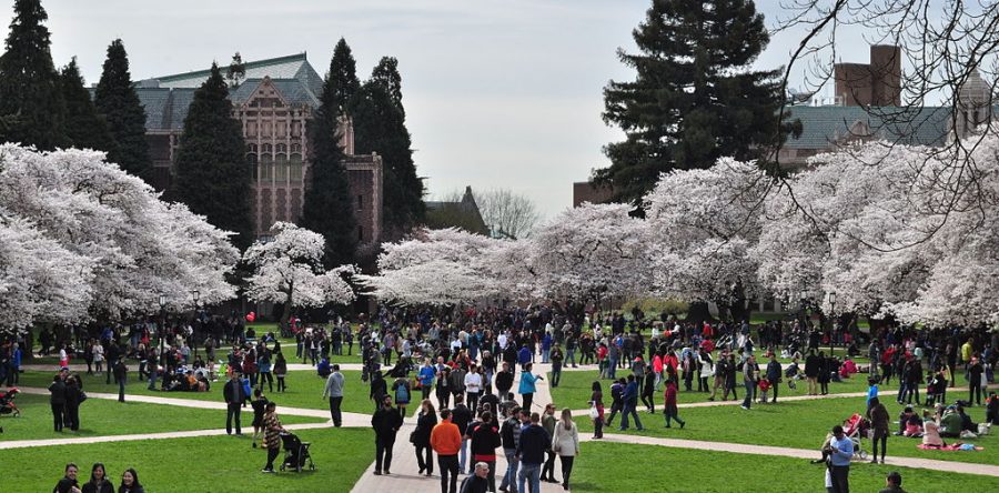 Back to School in Seattle: Where to Grab a Bite Near Campus