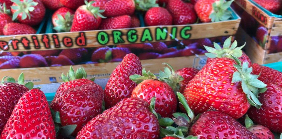 Napa Valley Farmers Market Happenings June 5th and 9th