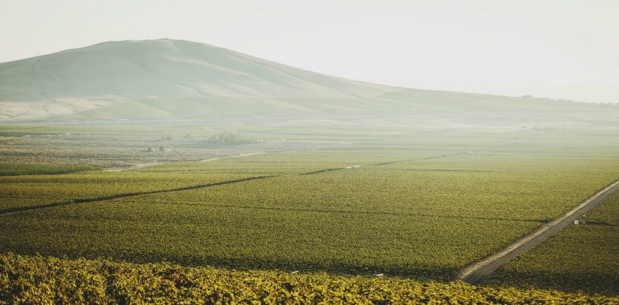Washington’s Newest American Viticultural Area!