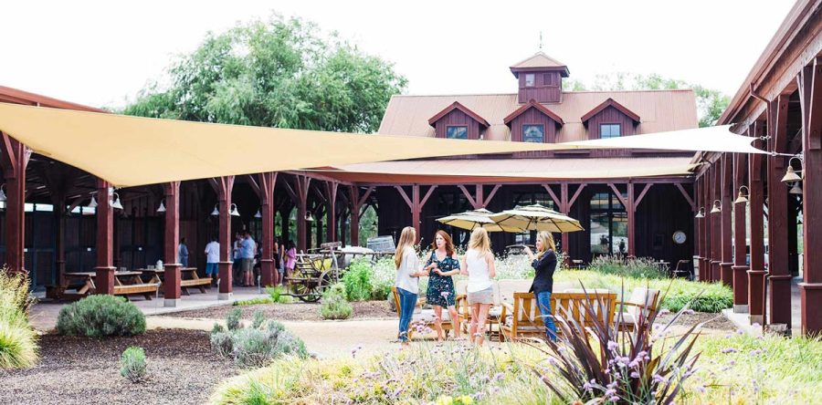 Wine Tasting, a Break from the Crowds – Napa Valley