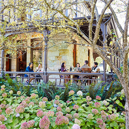 Where to Eat, Stay, and Play in Napa!