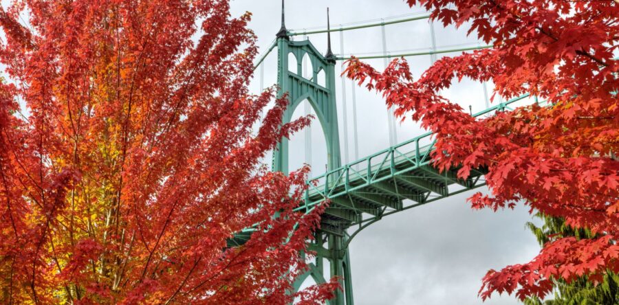 Things to do in the month of October: Portland Edition