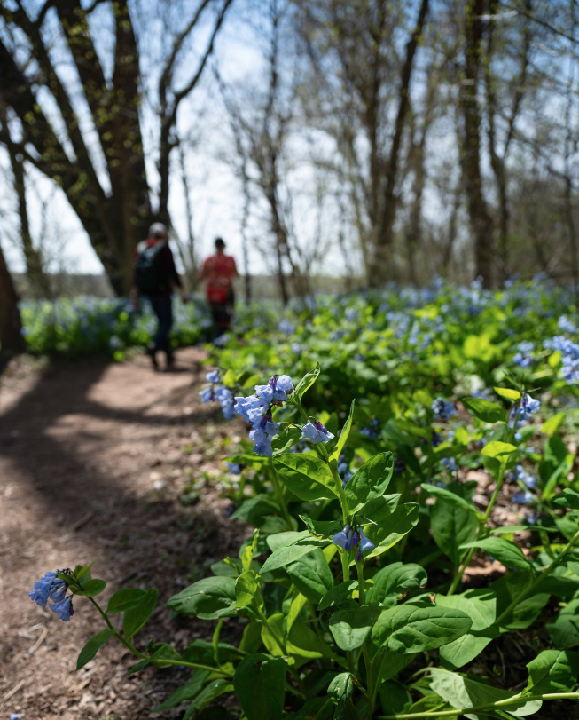 Where to Eat, Stay, and Play in Central Oregon this May!